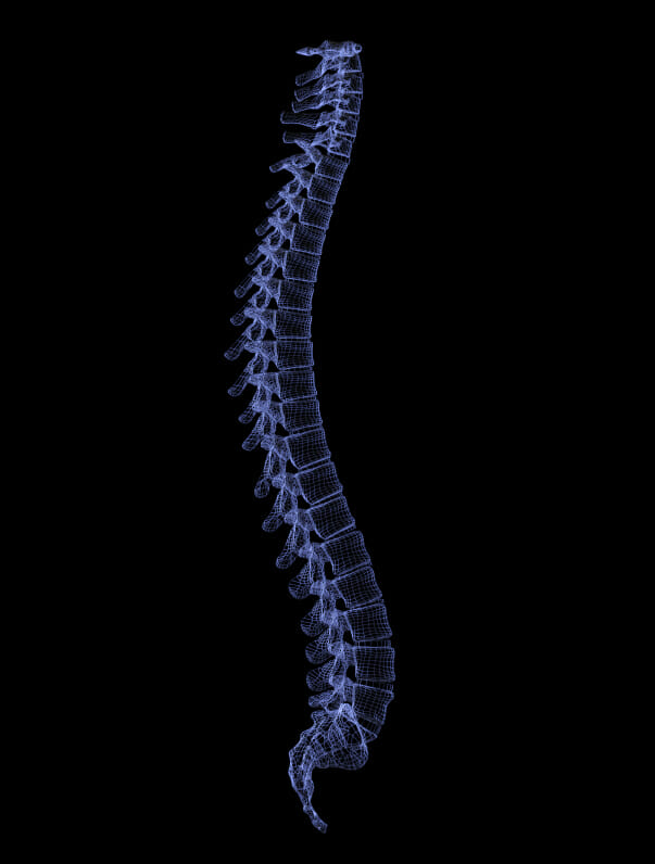 scoliosis in new york city